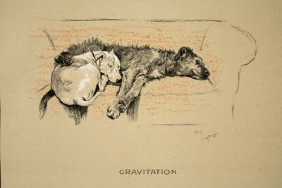 Gravitation, 1930, 1st Edition of 